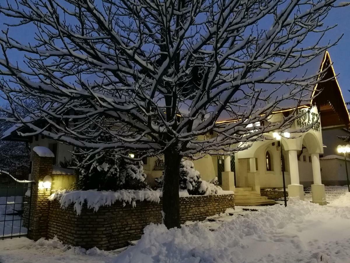 Hasik Hotel Magyarpolany Екстер'єр фото